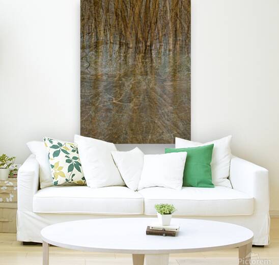 2443101 :: Giclée Stretched Canvas Print
