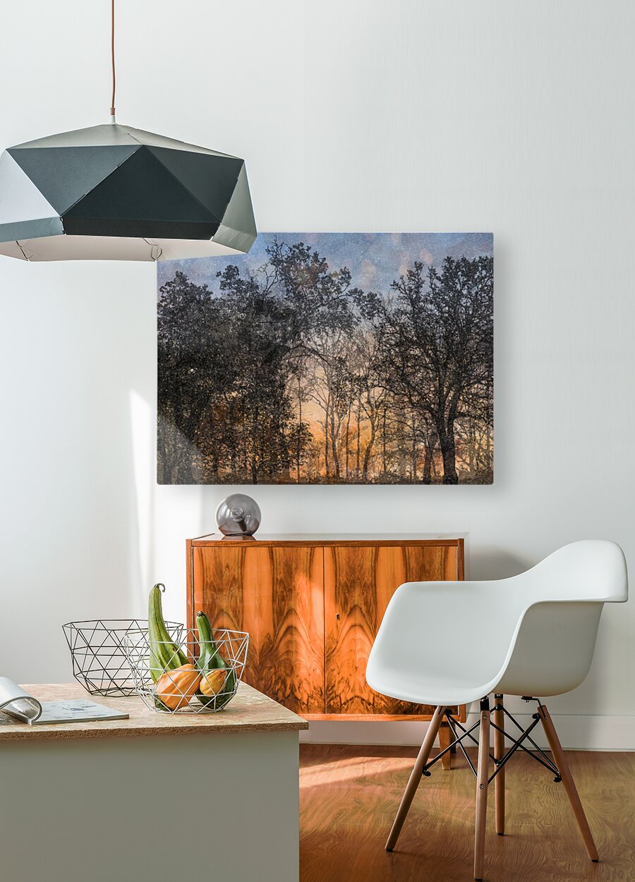 HD Sublimation Metal Print