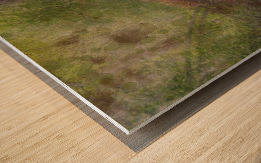 2443089 :: Wood Print