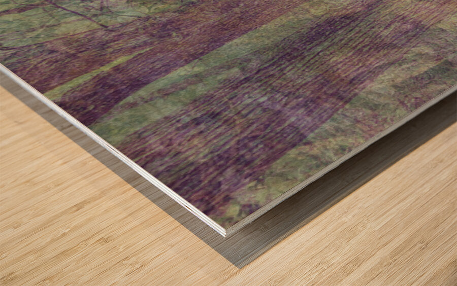 2443095 :: Wood Print
